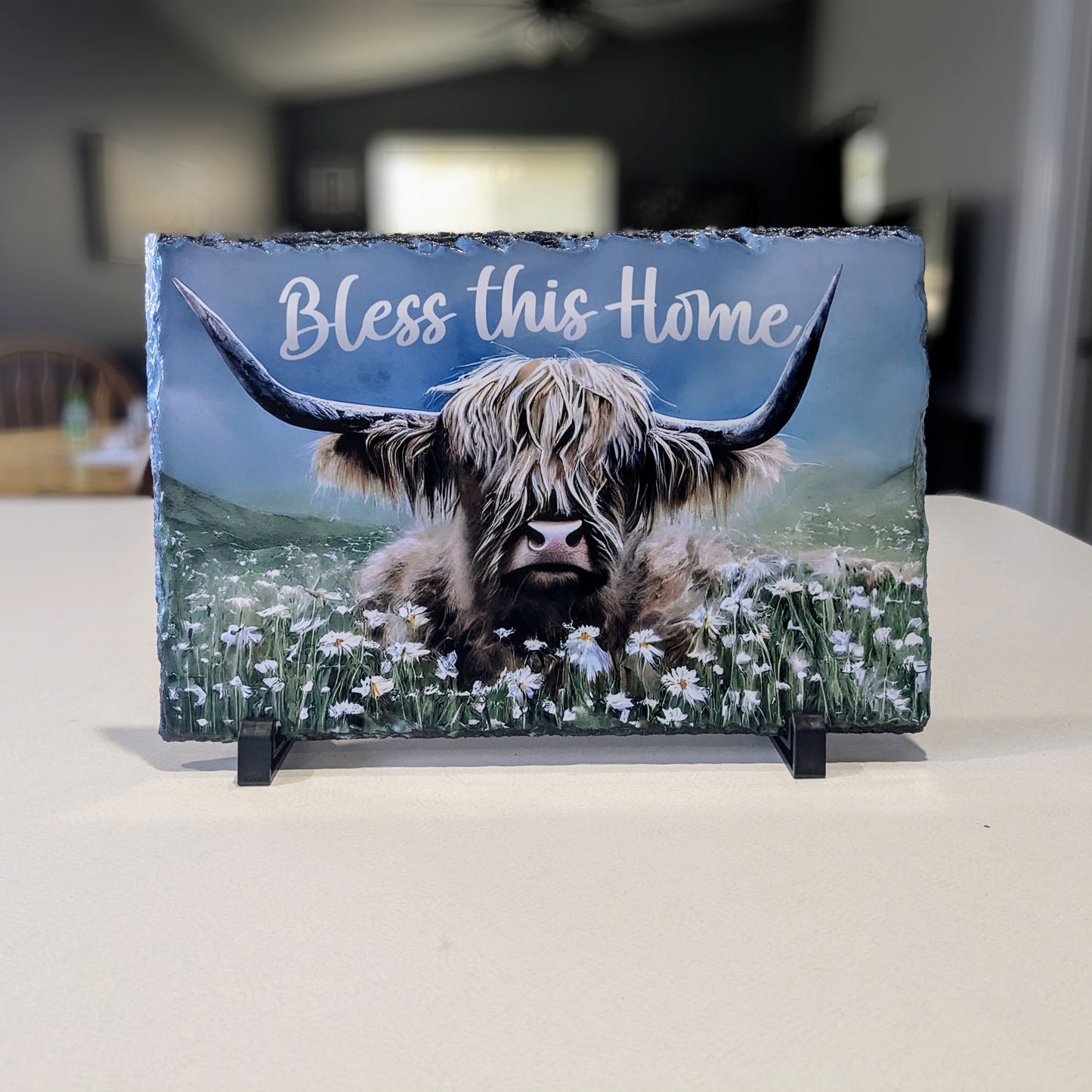 Bless this Home 11.5"x7.5" Slate decor